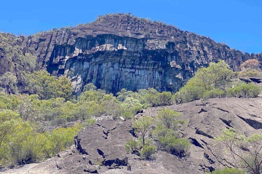 Joel's Journeys - Australia Zoo, Glass House Mountains Tour Combo