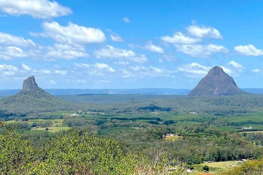 Joel's Journeys - Australia Zoo, Glass House Mountains Tour Combo