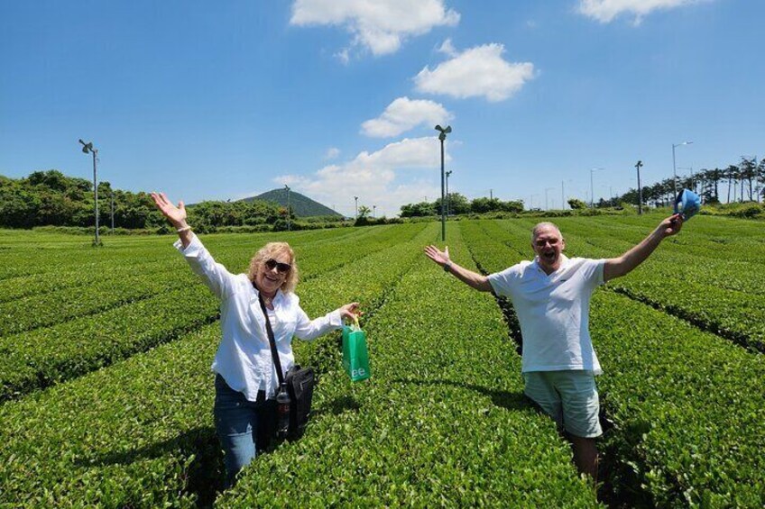 Jeju Luxury Private Tour Including UNESCO Yacht Cruise 