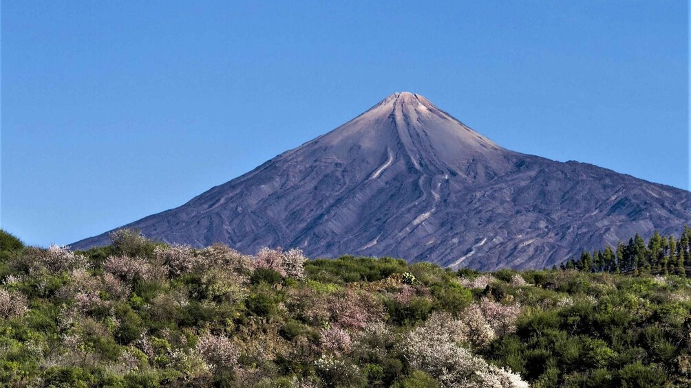 Picture 16 for Activity Teide: Guided Sunset & Stargazing Tour by Night with Dinner