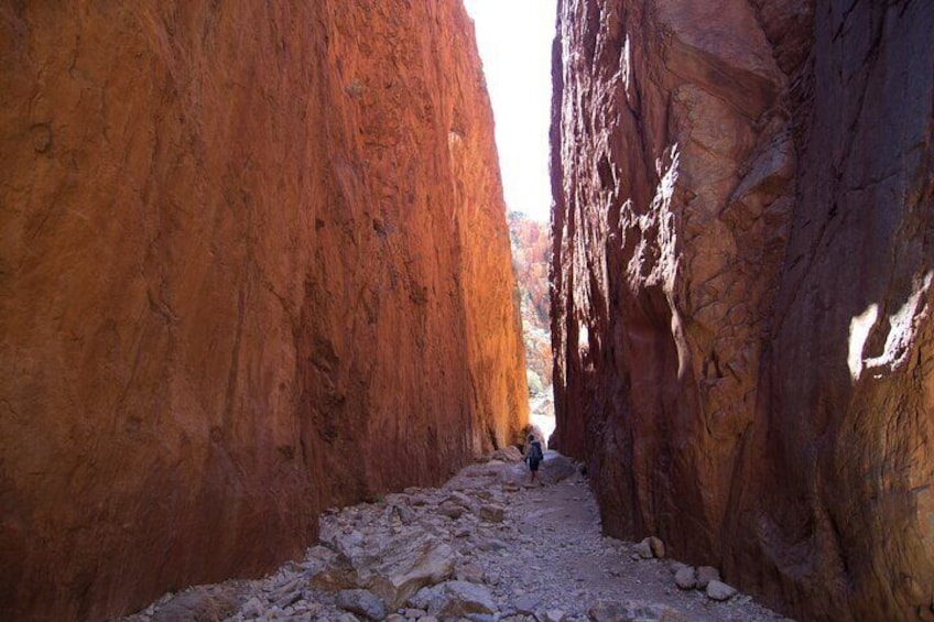Immerse yourself in West MacDonnell National Parks, Standley Chasm 