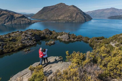 Wanaka : Taxi aquatique et visite de l'île de Mou Waho