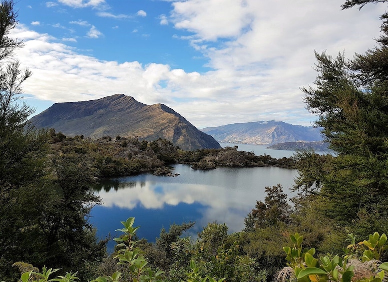 Picture 6 for Activity Wanaka: Water Taxi & Mou Waho Island Tour