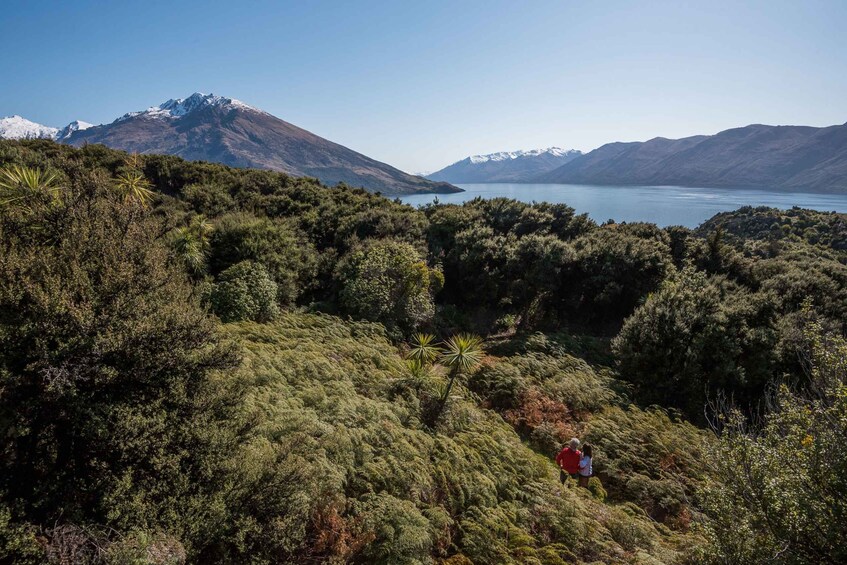 Picture 3 for Activity Wanaka: Water Taxi & Mou Waho Island Tour