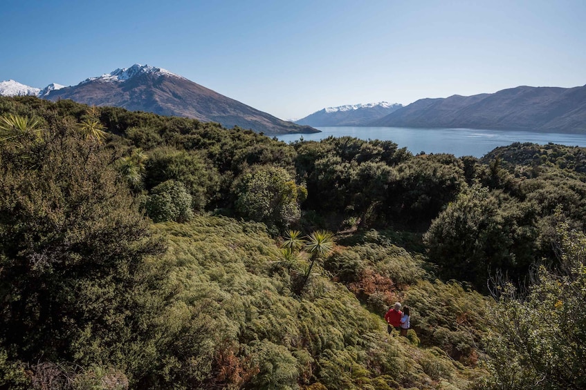 Picture 3 for Activity Wanaka: Water Taxi & Mou Waho Island Tour