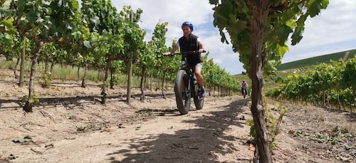 Kapkaupungista: Puolen päivän Winelands E-Bike Tour