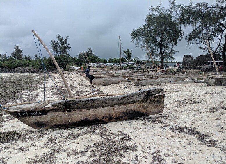 Picture 7 for Activity Zanzibar: Mnemba Atoll Marine Reserve Snorkeling Tour