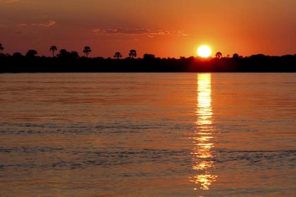 Victoria Falls: Zambezi River Sunset Cruise