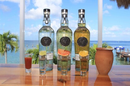 Smaksprøverom for mezcal og tequila