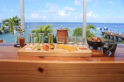 Salle de dégustation mezcal et tequila