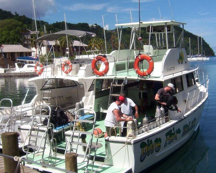 Picture 8 for Activity From Castries: 5-Hour St. Lucia Scuba Diving Excursion