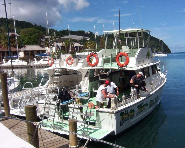 Picture 8 for Activity From Castries: 5-Hour St. Lucia Scuba Diving Excursion