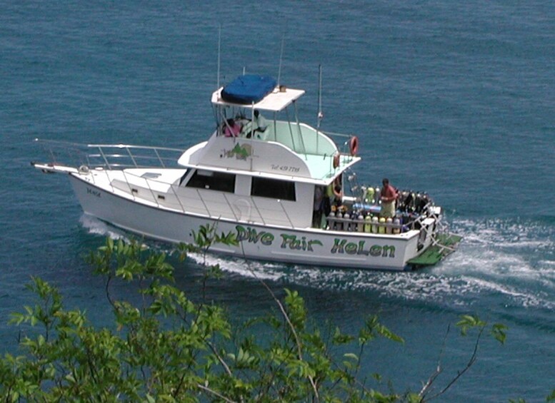 Picture 1 for Activity From Castries: 5-Hour St. Lucia Scuba Diving Excursion