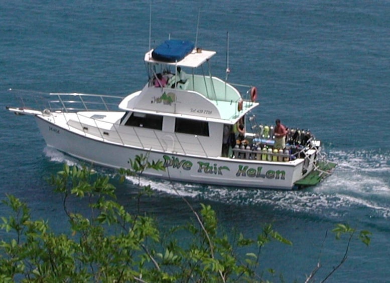 Picture 1 for Activity From Castries: 5-Hour St. Lucia Scuba Diving Excursion