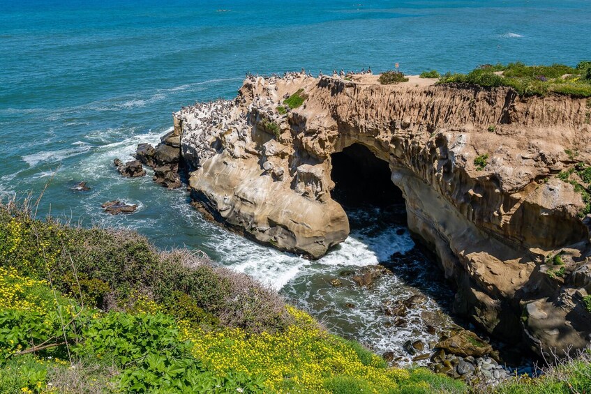 La Jolla: Self-Guided Walking Audio Tour