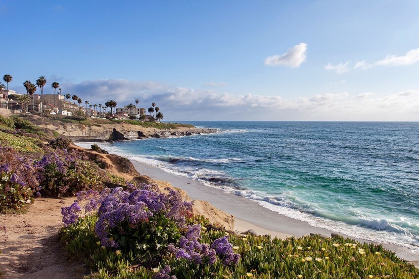 La Jolla: Self-Guided Walking Audio Tour