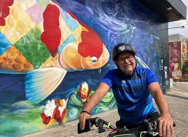 São Paulo : visite à vélo de l'art de la rue