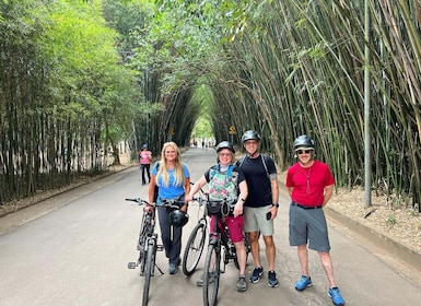 São Paulo: Cykeltur med gatukonst