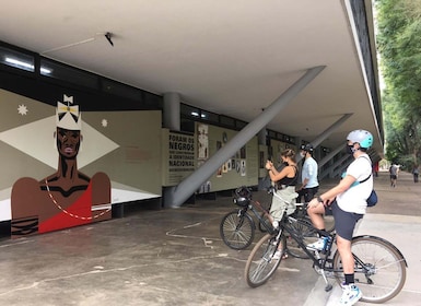 São Paulo : visite à vélo de l'art de la rue