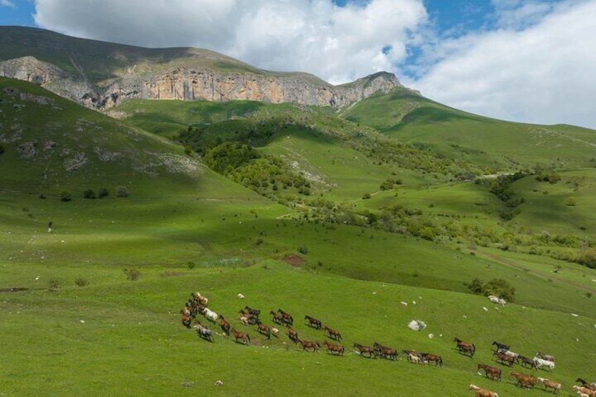 Off Road Tour to Dimats Mount Dilijan Armenia