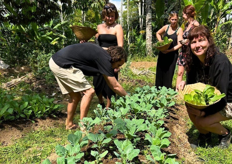 Picture 7 for Activity Ubud: Balinese Cooking Class at an Organic Farm