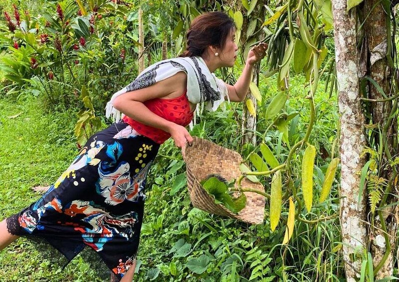 Picture 3 for Activity Ubud: Balinese Cooking Class at an Organic Farm