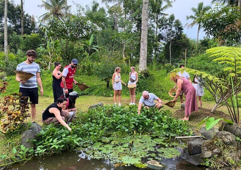 Picture 4 for Activity Ubud: Balinese Cooking Class at an Organic Farm