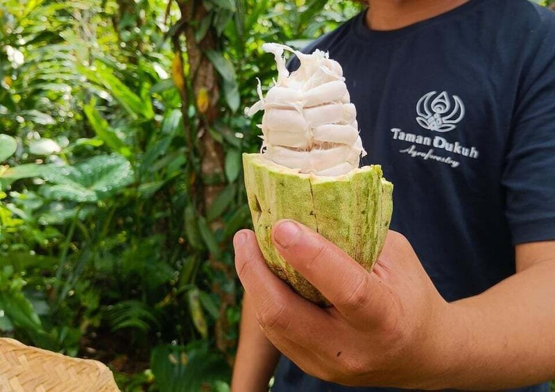 Picture 1 for Activity Ubud: Balinese Cooking Class at an Organic Farm