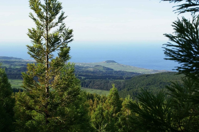 Picture 1 for Activity Terceira Island: Half-Day 4X4 Tour