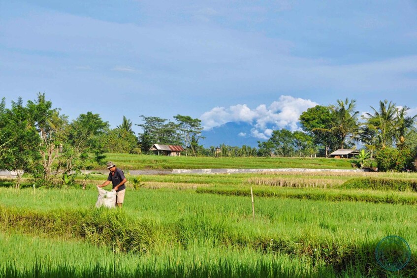 Picture 4 for Activity Ubud: Tjampuhan Ridge, Monkey Forest & Art Market Photo Tour