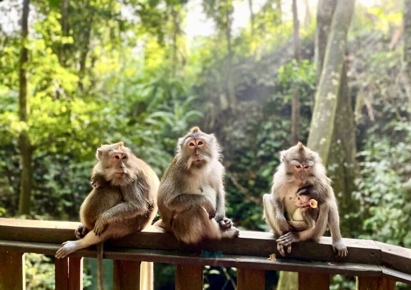 Picture 1 for Activity Ubud: Tjampuhan Ridge, Monkey Forest & Art Market Photo Tour
