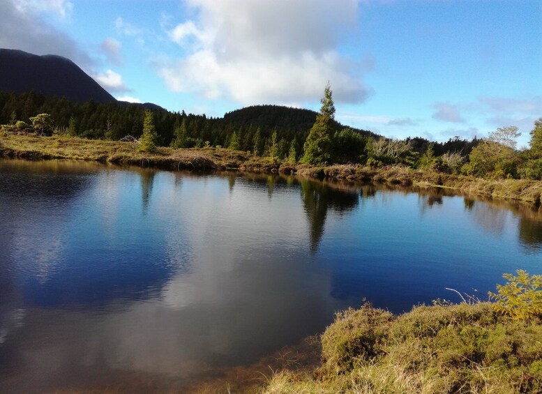 Picture 12 for Activity Terceira Island: Walking Trails Hiking Tour