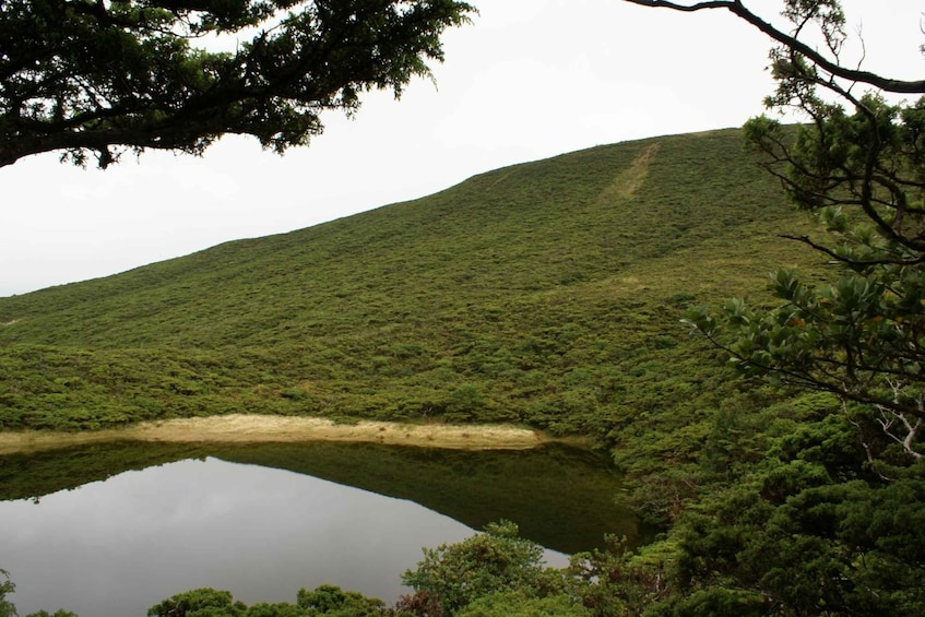 Picture 7 for Activity Terceira Island: Walking Trails Hiking Tour