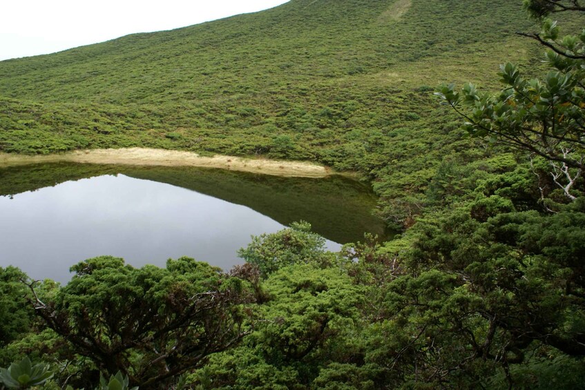 Picture 6 for Activity Terceira Island: Walking Trails Hiking Tour