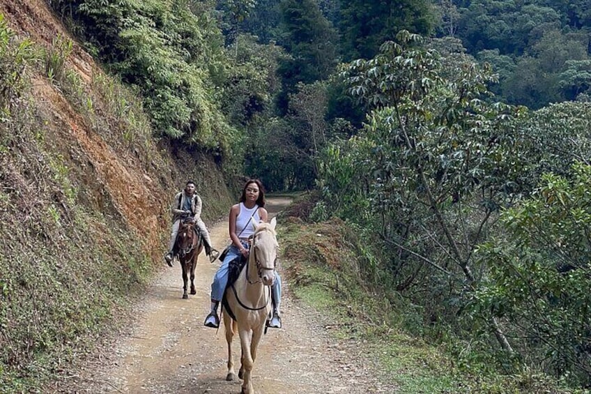 Horseback riding near Medellin