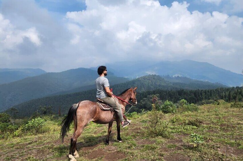 Scenic Horseback Riding with English-Speaking Guides