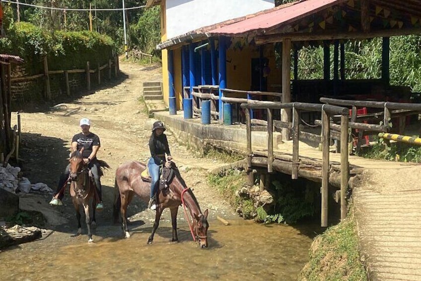 Horseback riding near Medellin 