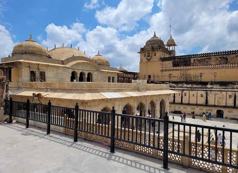 Picture 7 for Activity Amber fort Skip-the-Line E-tickets & guide Jaipur transfers