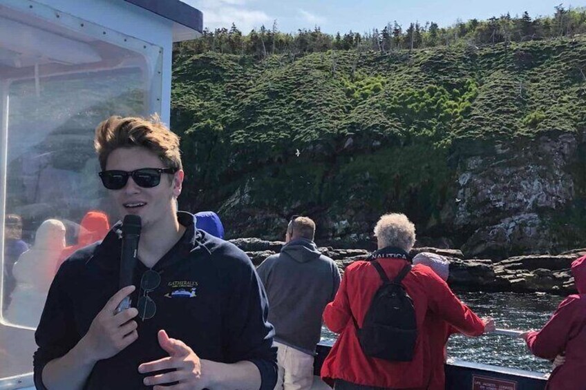 Birds and Bergs in Newfoundland