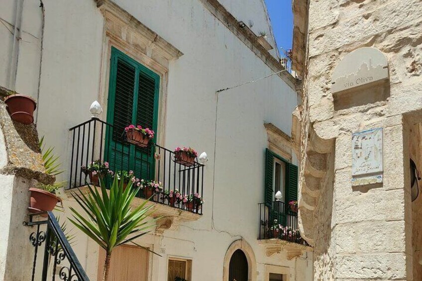 Tour to Alberobello, Locorotondo and Ostuni from Brindisi