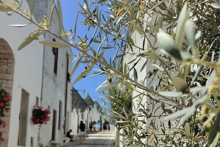 Tour to Alberobello, Locorotondo and Ostuni from Brindisi