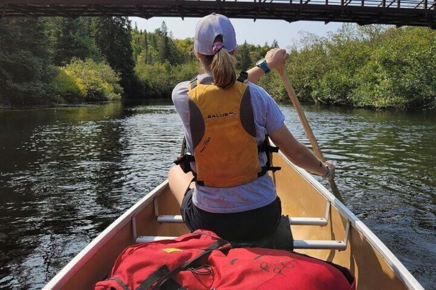 Guided Tours Algonquin Park