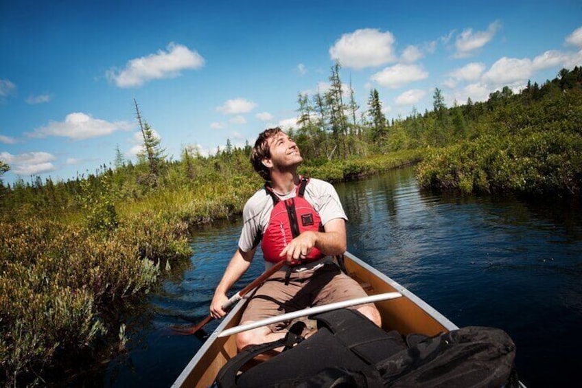 Guided Tours Algonquin Park