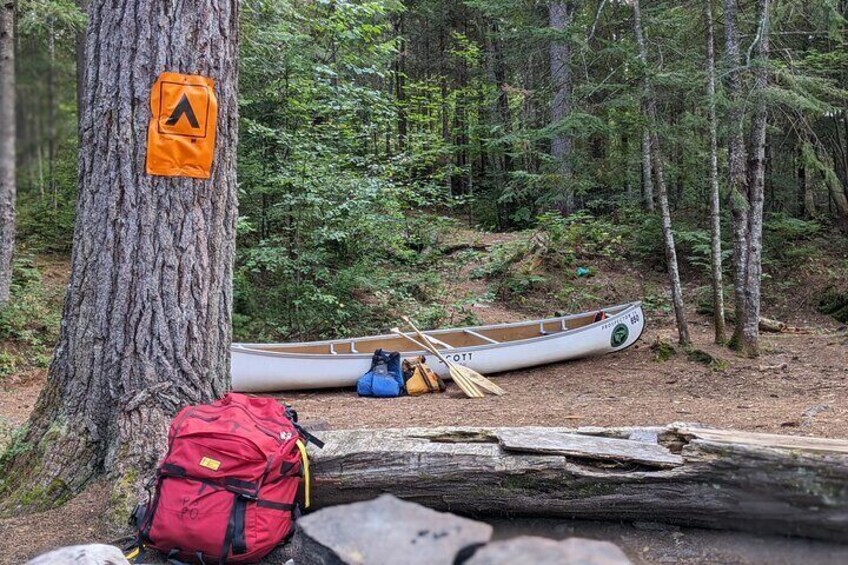 Guided Tours Algonquin Park