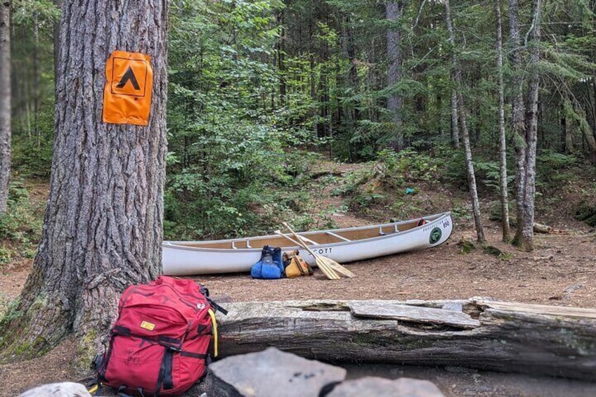 Guided Tours Algonquin Park
