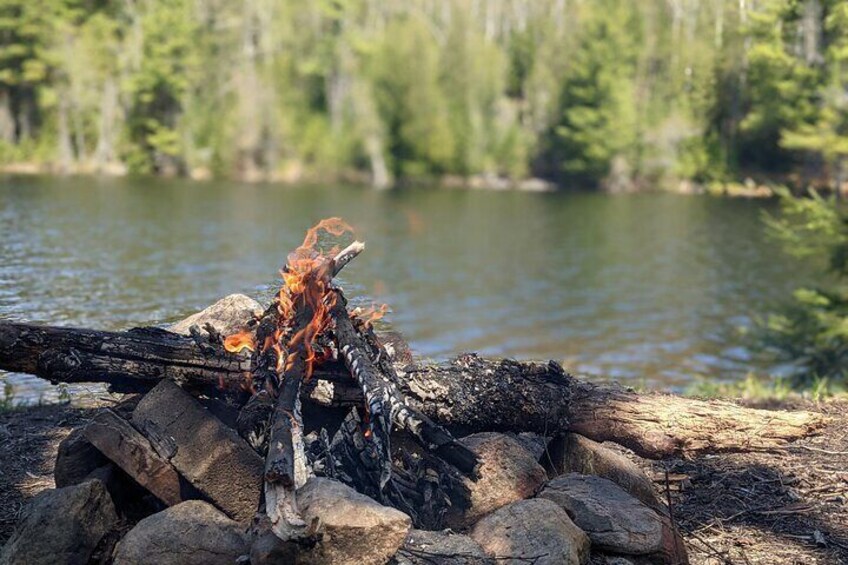 Guided Tours Algonquin Park