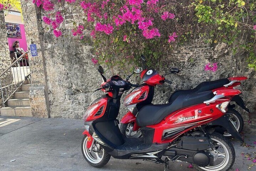 Our scooters
