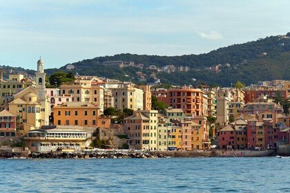 Shared Snorkelling and Dinghy Experience from Genoa to Recco