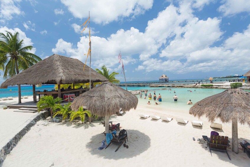 Picture 1 for Activity Cozumel: Chankanaab Park Day Pass and Snorkeling with Lunch