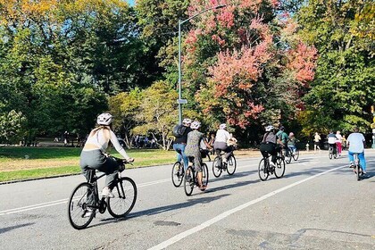 Central Park Bike Guided Tour - Small Group